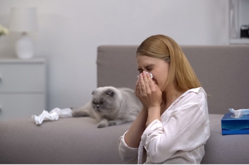 Alergias a los animales: cuáles son las más comunes y qué debemos hacer – Adeslas Salud y Bienestar