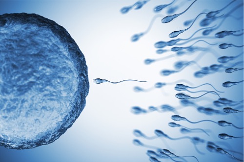 Descobreix com l’alimentació pot ajudar a prevenir la infertilitat – Adeslas Salut i Benestar