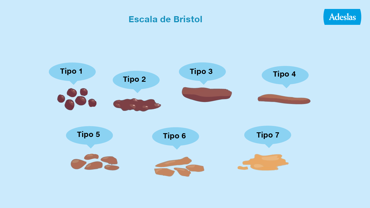 Escala de Bristol: gráfico de los tipos de heces – Adeslas Salud y Bienestar
