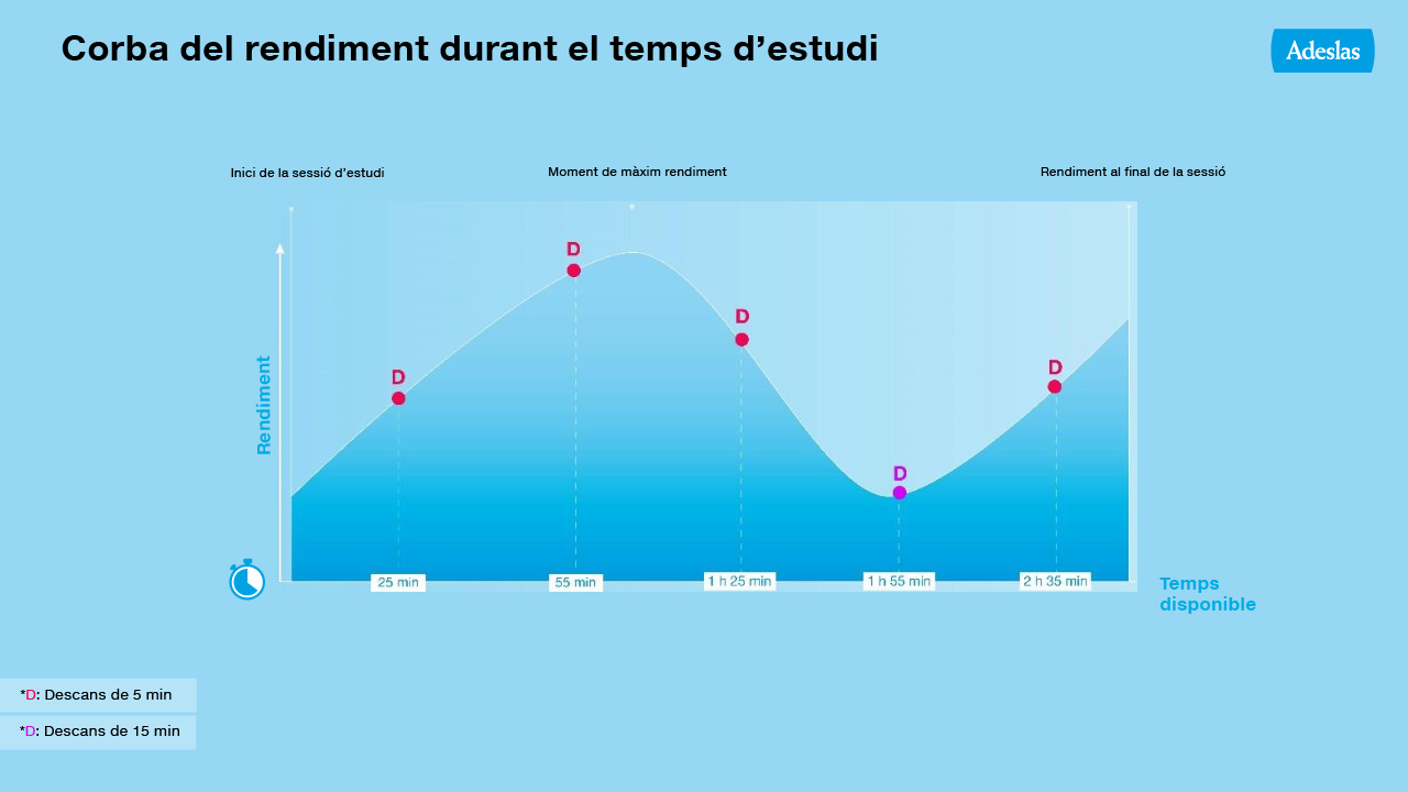Corba de rendiment durant el temps d'estudi - Adeslas Salud y Bienestar