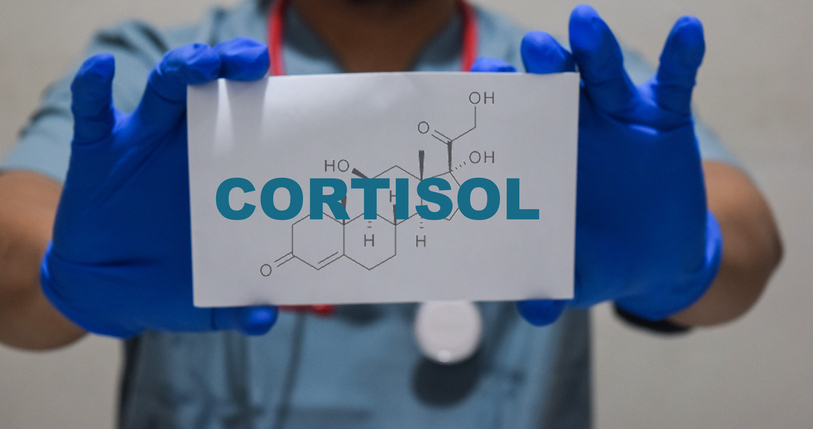 Cortisol: qué es, cómo se regula y cuál es su relación con el estrés - Espacio de Salud Adeslas