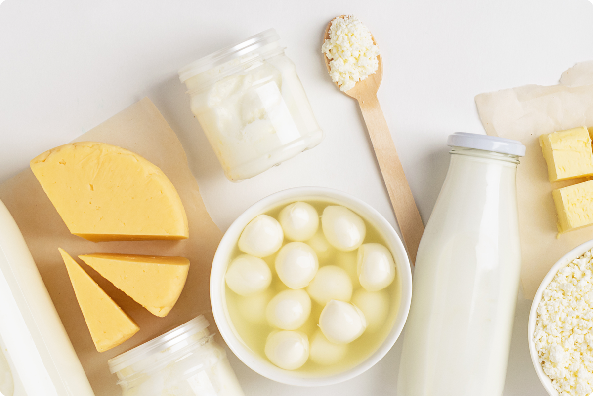 salud digestiva probioticos