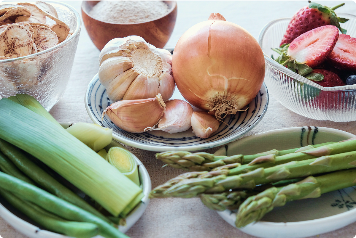 salud digestiva prebioticos probioticos