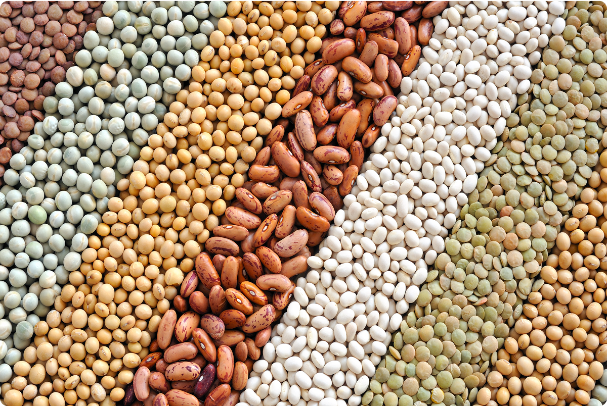 salud digestiva legumbres