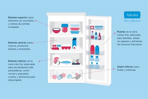 Infografía con consejos para conservar alimentos - Adeslas Salud y Bienestar
