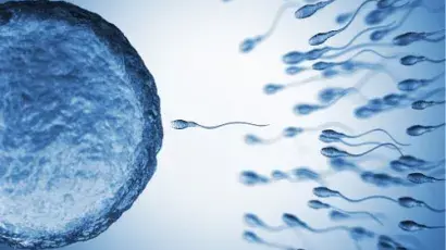 Descobreix com l’alimentació pot ajudar a prevenir la infertilitat – Adeslas Salut i Benestar  