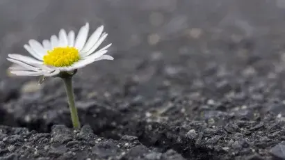 Resiliencia: qué es y cómo desarrollarla - Adeslas Salud y Bienestar 