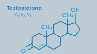 Testosterona: funciones y síntomas de niveles anormales - Adeslas Salud y Bienestar 