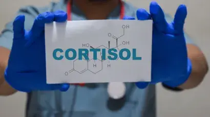 Cortisol: qué es, cómo se regula y cuál es su relación con el estrés – Espacio de Salud Adeslas