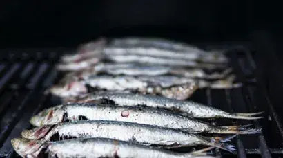 sardinas.jpg