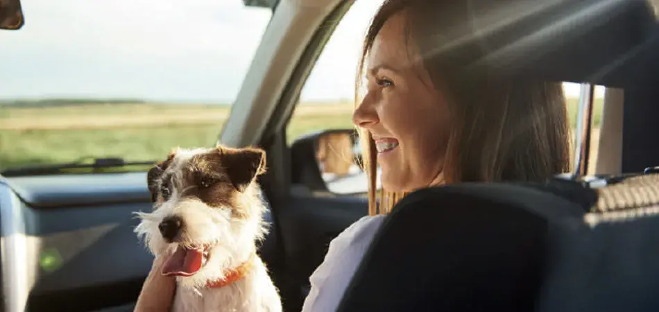 viajar con mascotas