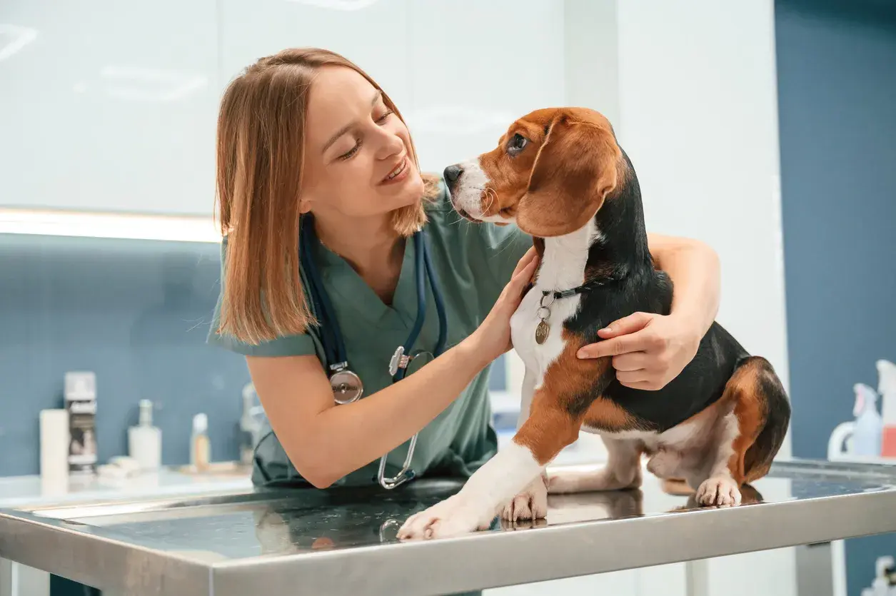 centro veterinario