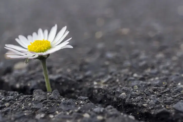 Resiliència: què és i com es pot desenvolupar