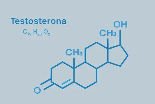 Testosterona: funciones y síntomas de niveles anormales