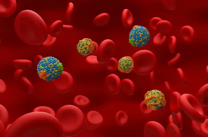 Colesterol HDL i la seva relació amb la salut cardiovascula