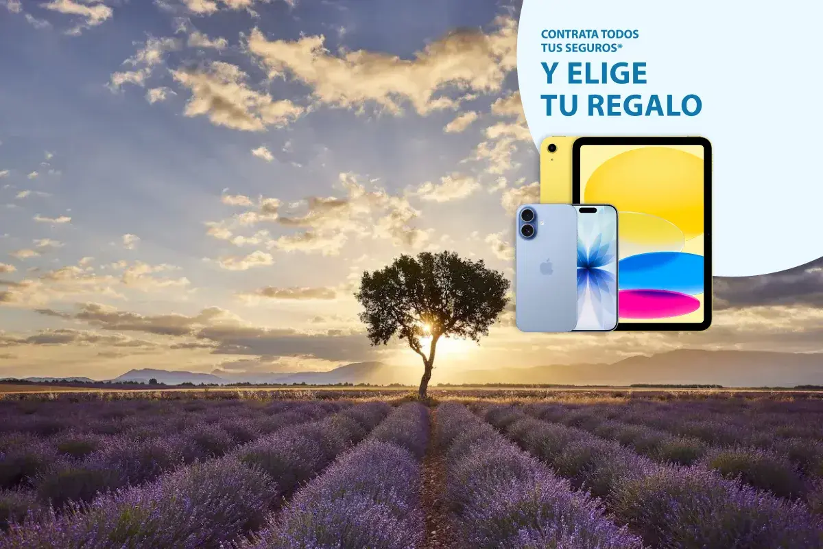 puesta de sol en un campo con un arbol