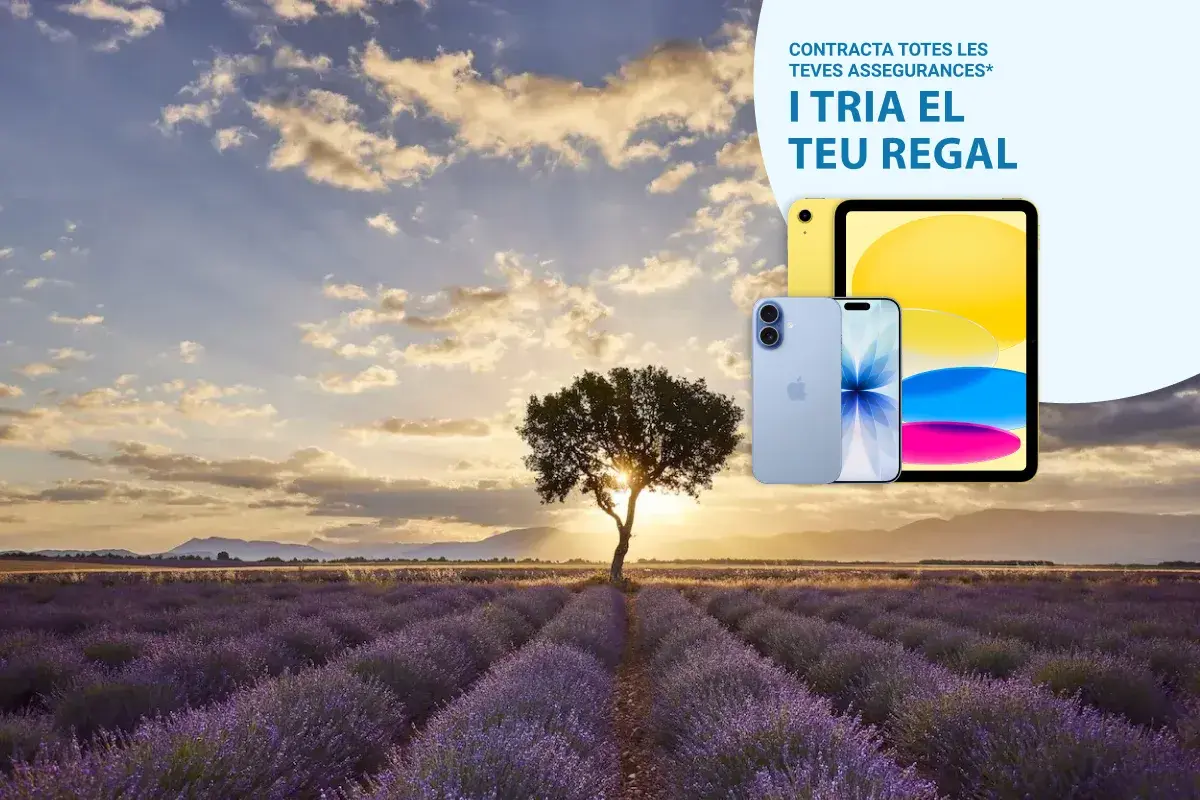 puesta de sol en campo con arbol
