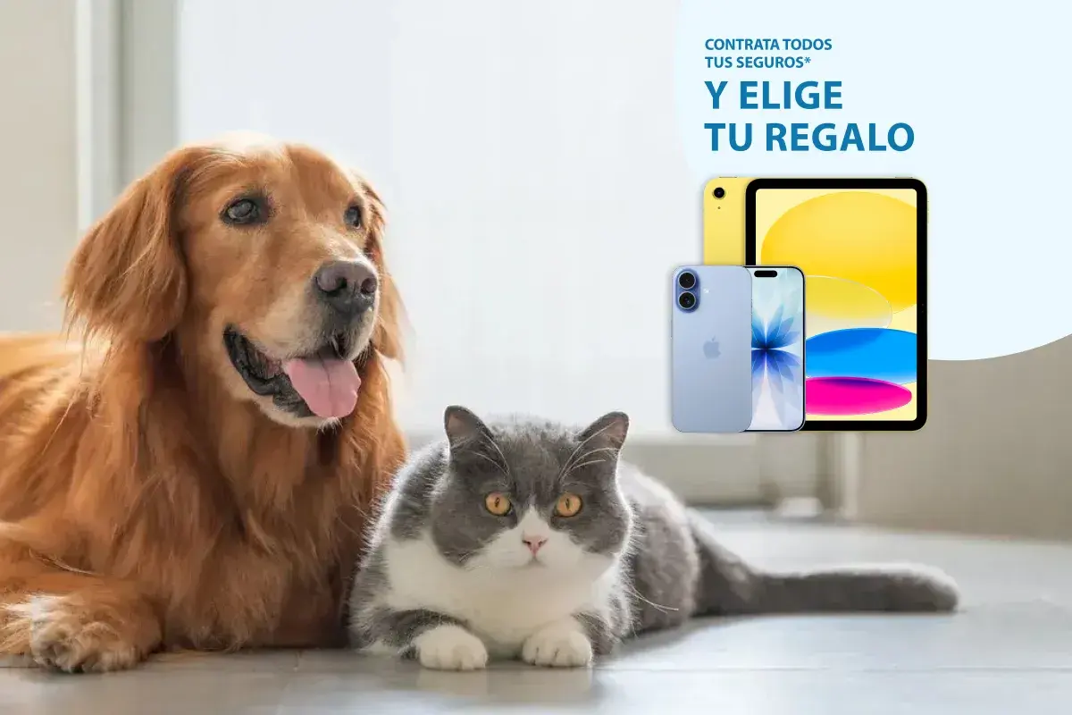 mascotas