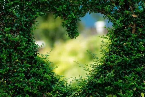 Trenca el cercle del risc cardiovascular!