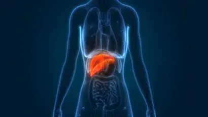 Qué es la enfermedad hepática del hígado graso no alcohólico – Adeslas Salud y Bienestar